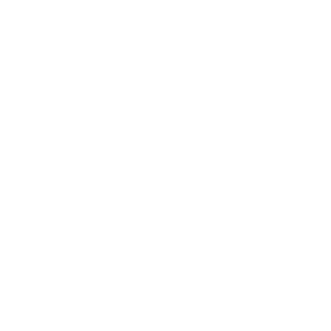 secfone1